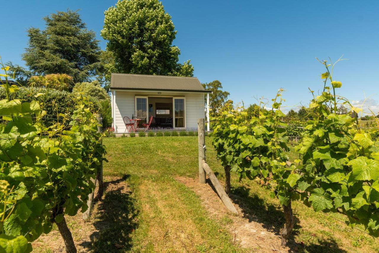 Kina Beach Cottages Tasman Экстерьер фото